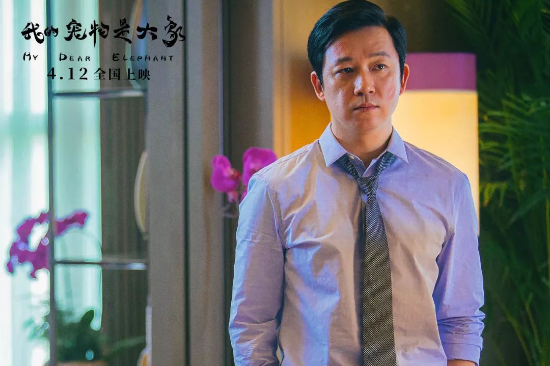 和俞飞鸿在雪国谈恋爱，还是上郑恺的恋爱培训班？|周末看啥片儿