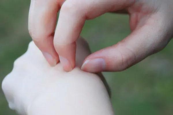 三七粉能不能天天吃,三七粉虽好但有4种人不能吃