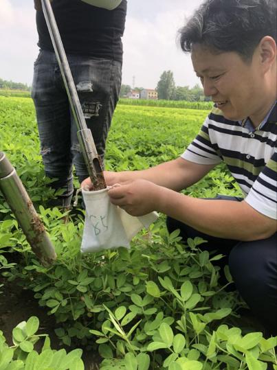央视多次点赞武汉,央视点赞武汉直播