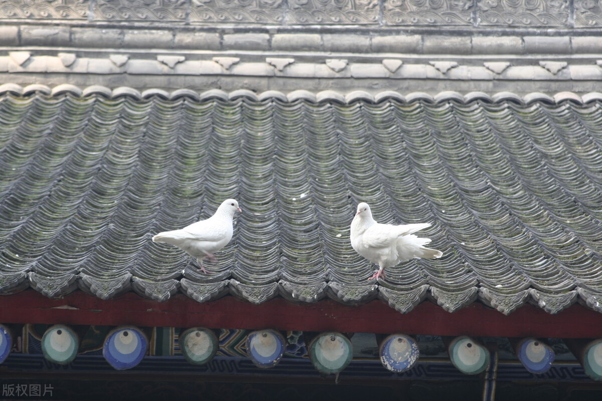 西安旅游攻略适合亲子游的地方,西安最适合亲子打卡的旅游胜地