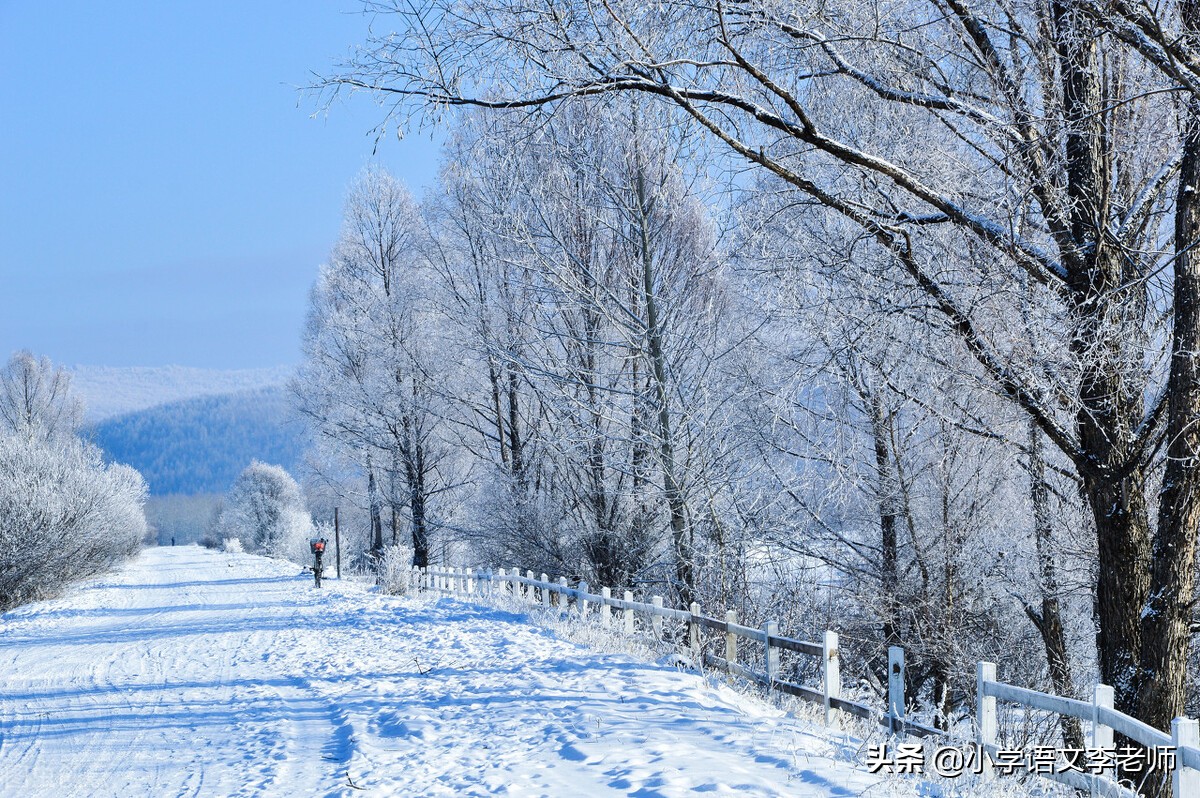 作文素材关于冬天的优美段落,描写冬天的作文精选篇