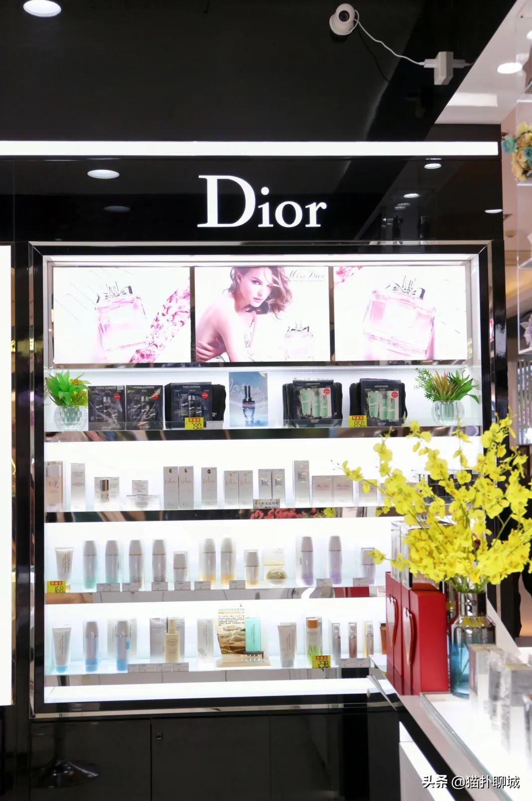 聊城的姐妹们,金鼎春季化妆防晒节活动大牌免费送!超值秒杀