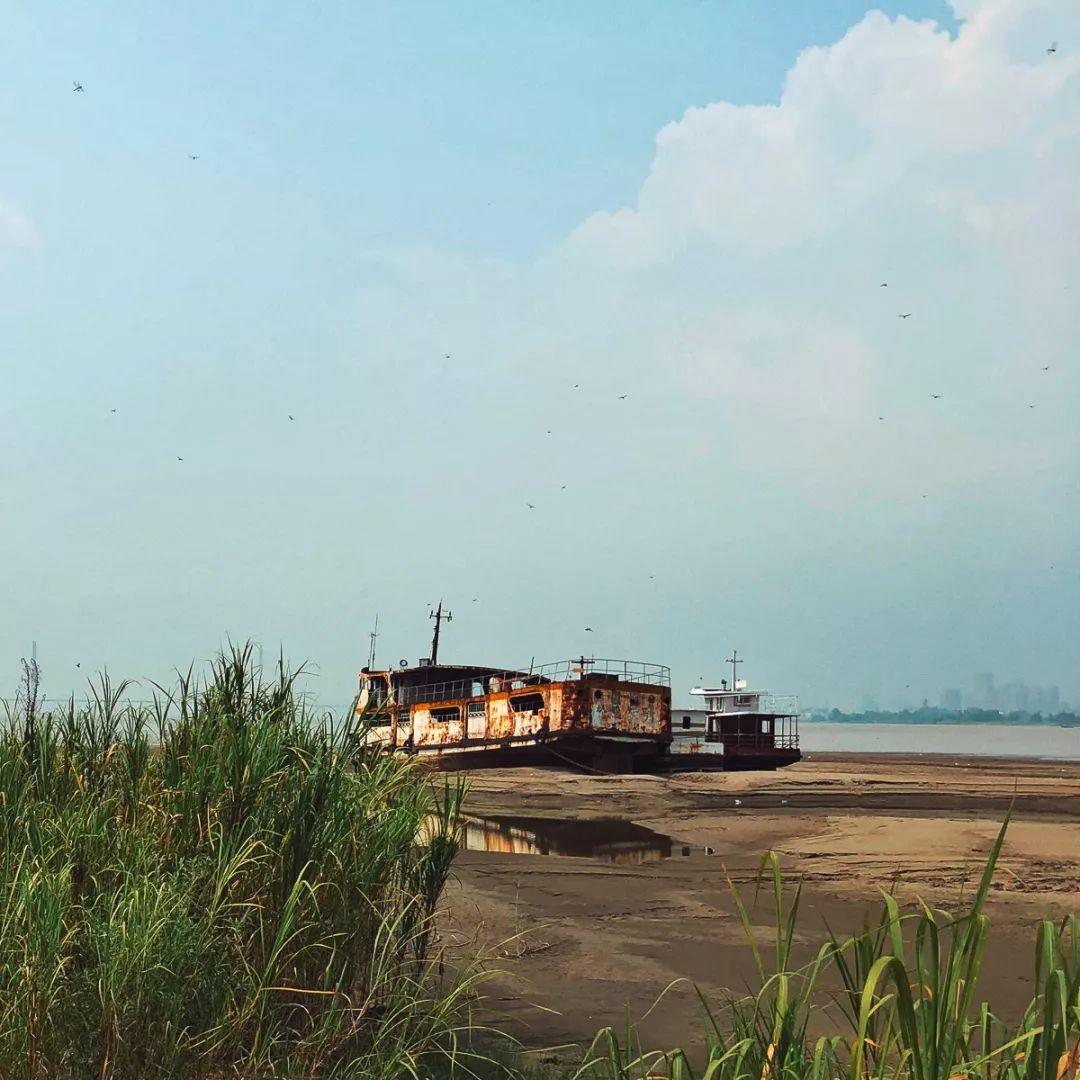 武汉冬季好玩的免费景点,武汉东湖免费景点有哪些