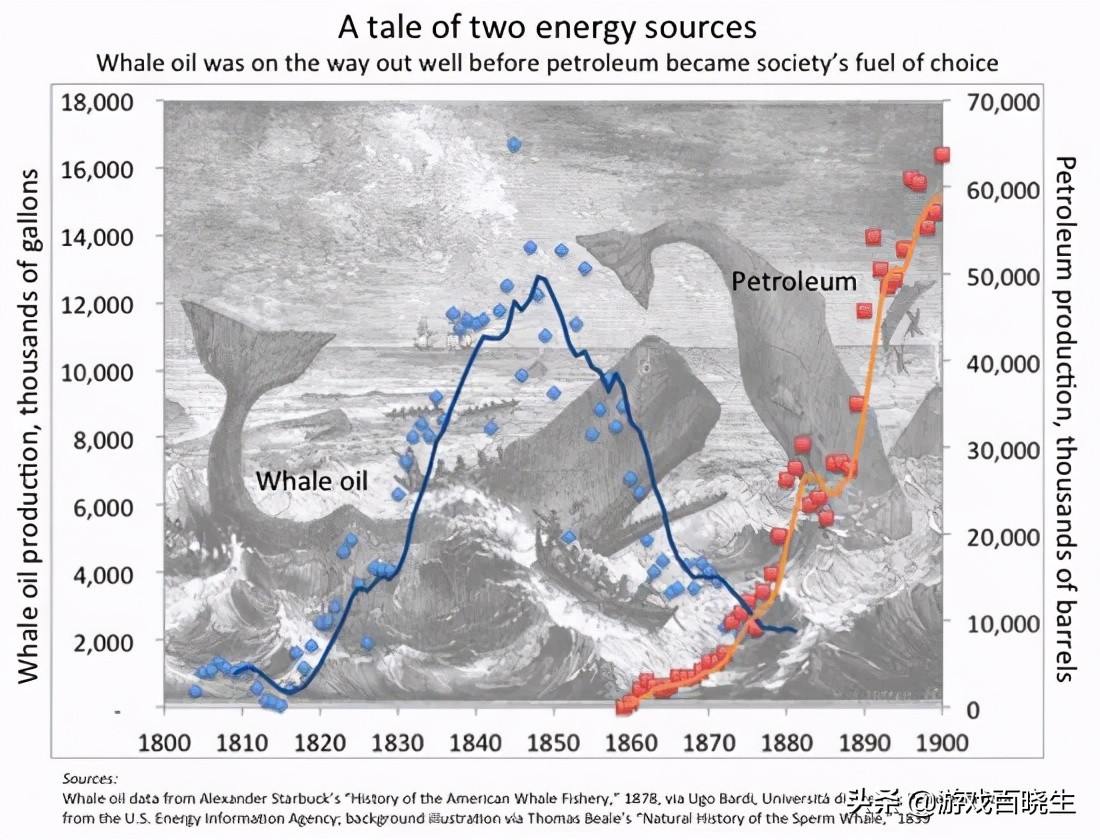 真实的捕鲸,远洋捕鲸真实过程