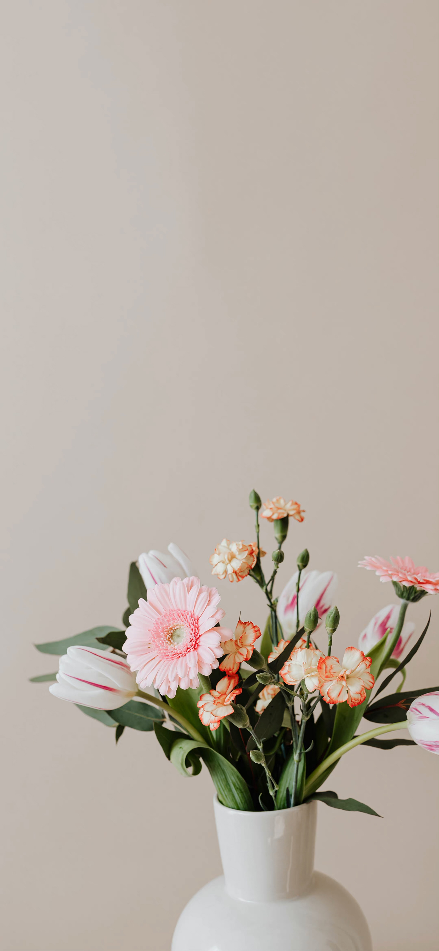 清爽壁纸高清手机壁纸,清晰到极致的手机壁纸图片