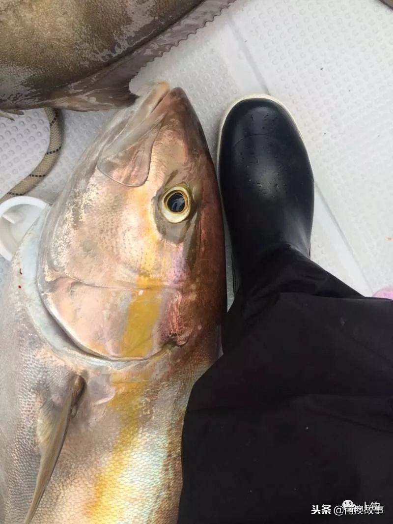 最好的海钓钓位选择,在海钓中如何找到原来的钓点