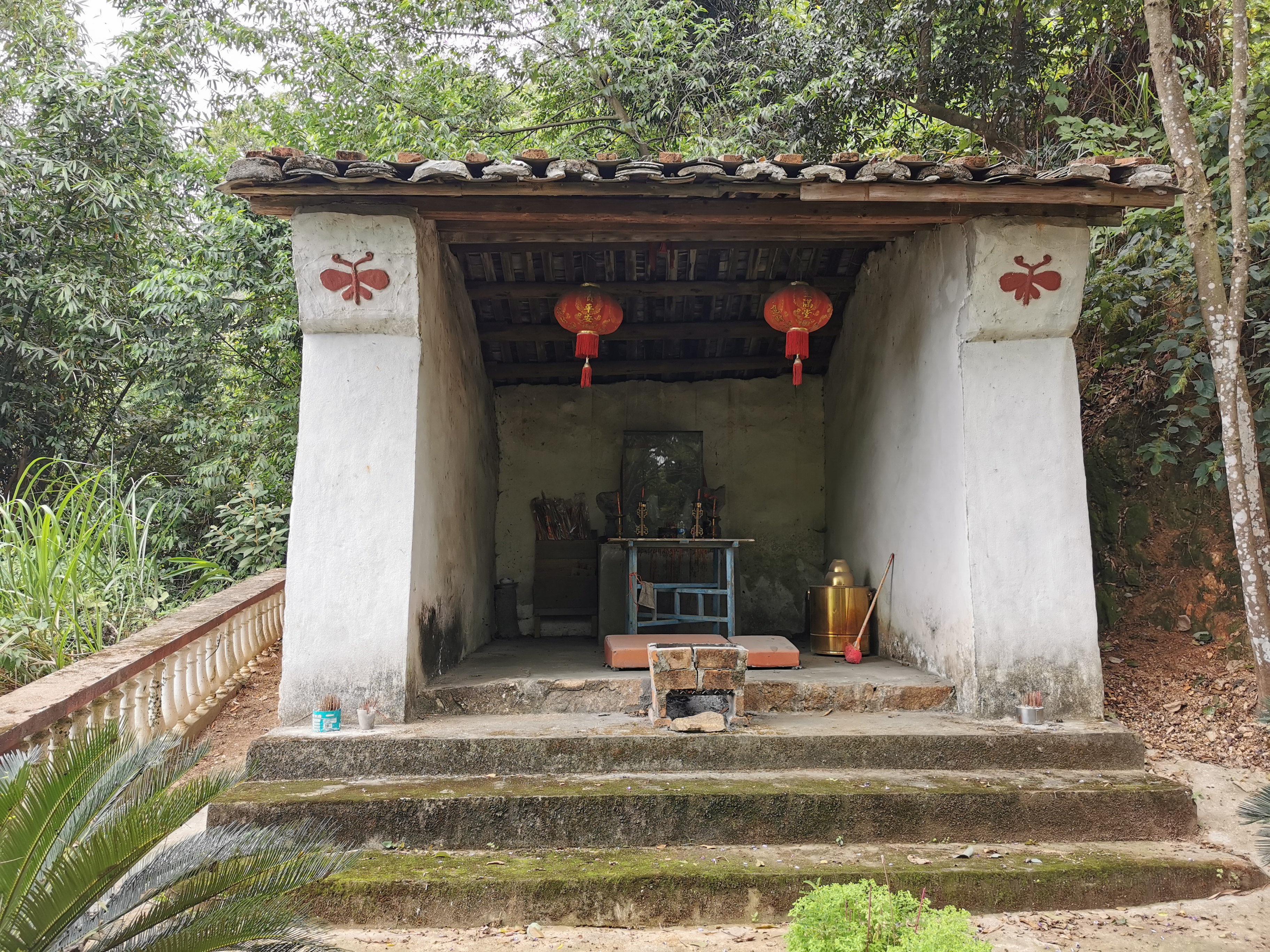 福州周边古道行之：三十六弯—恩顶—竹园岭，偶遇大野猪夹子