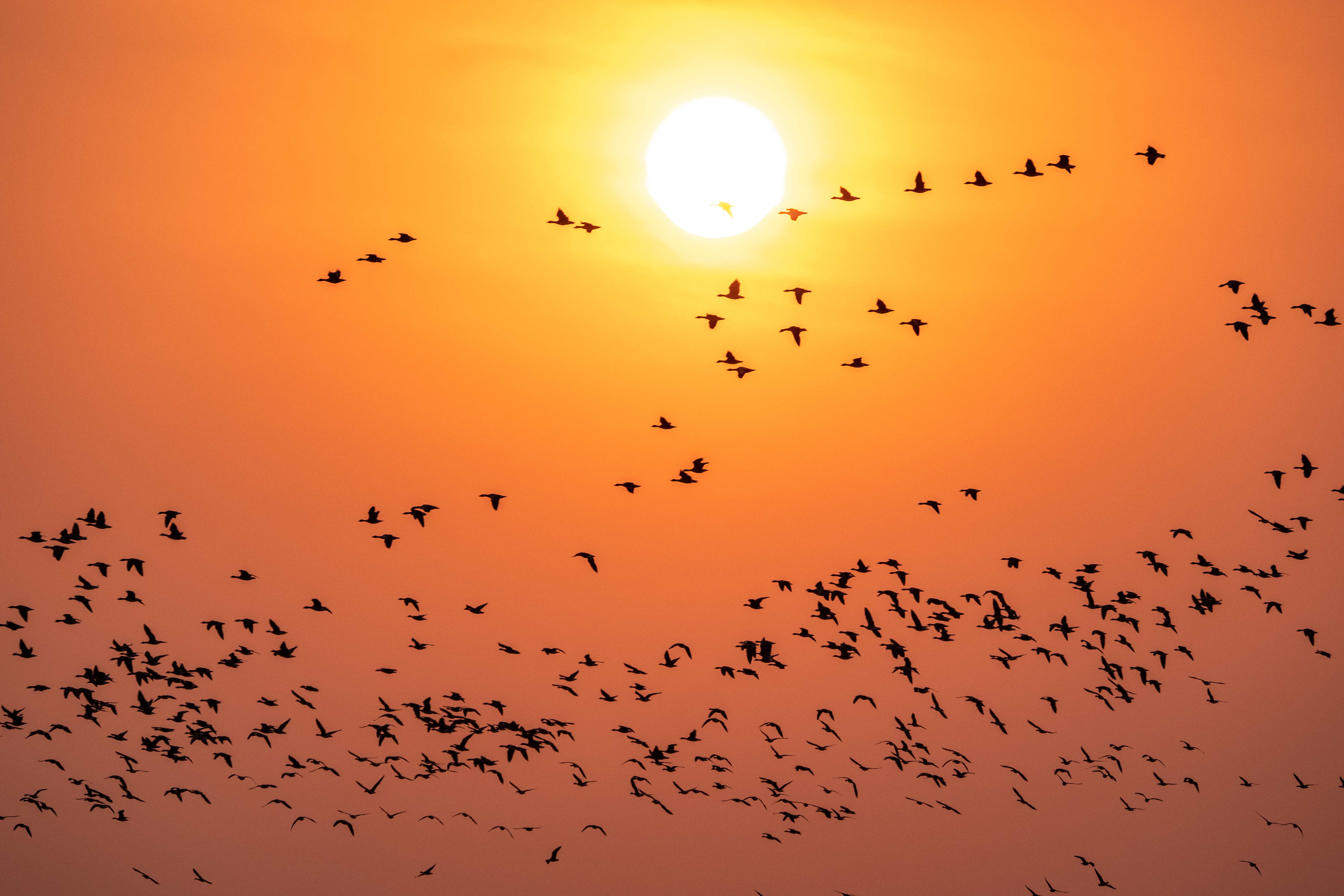 兰考新貌摄影集,兰考摄影团队