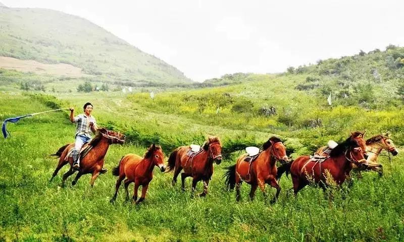 恩施，凭什么持续美哭全国，惊艳世界？