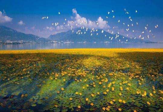 西昌邛海湿地全国排名,西昌邛海湿地