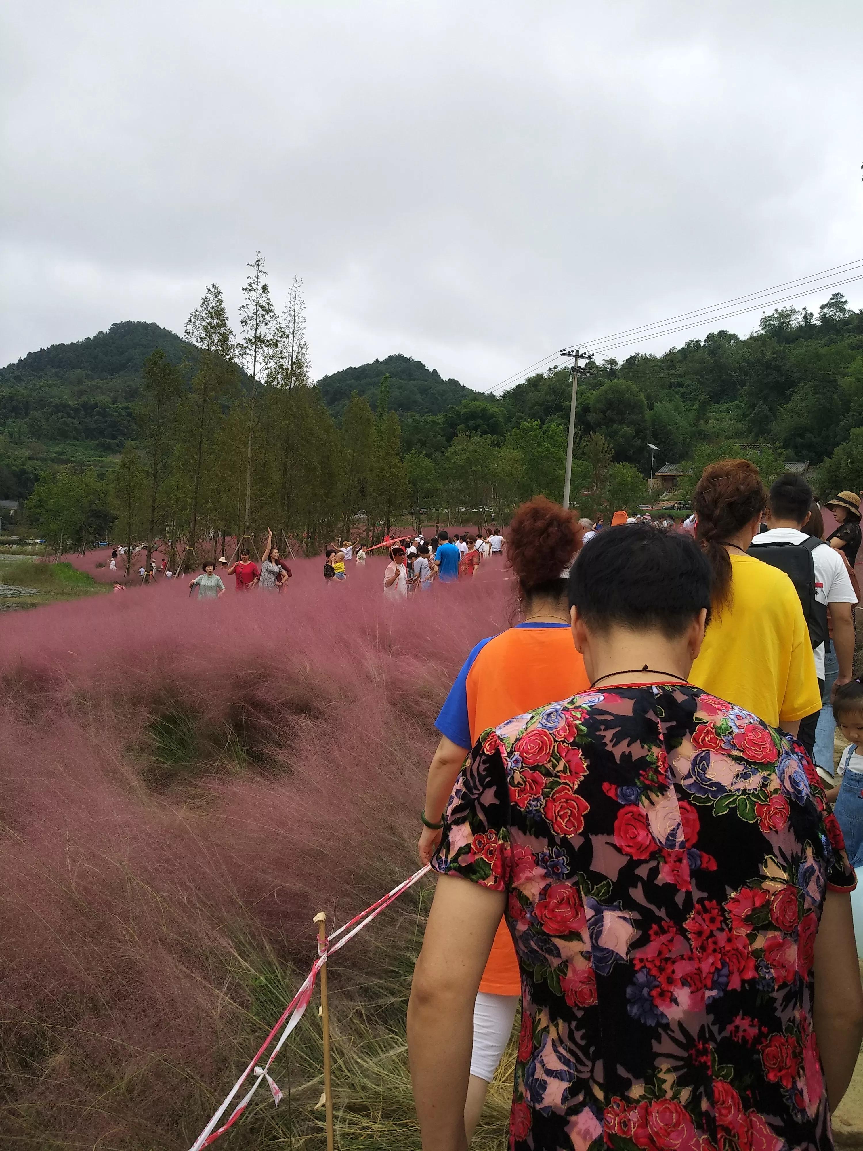 斐然湖和荷塘月色哪个好玩,中梁镇斐然湖公园最近动态