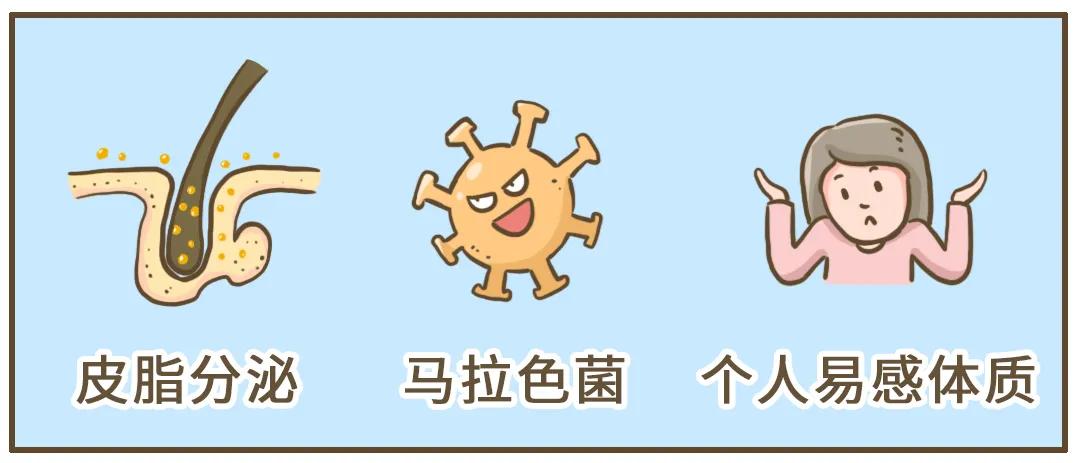 冬天为什么会有头皮屑,为什么头皮屑越挠越多