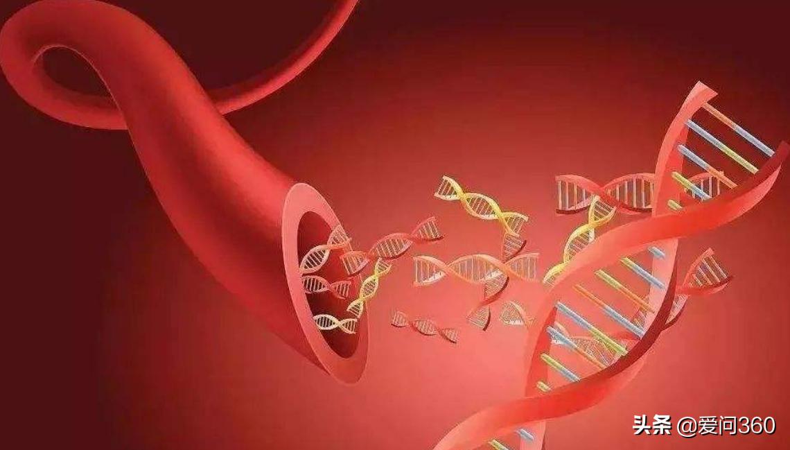 血管没有弹性什么原因该怎么治,血管失去弹性与血虚有关吗