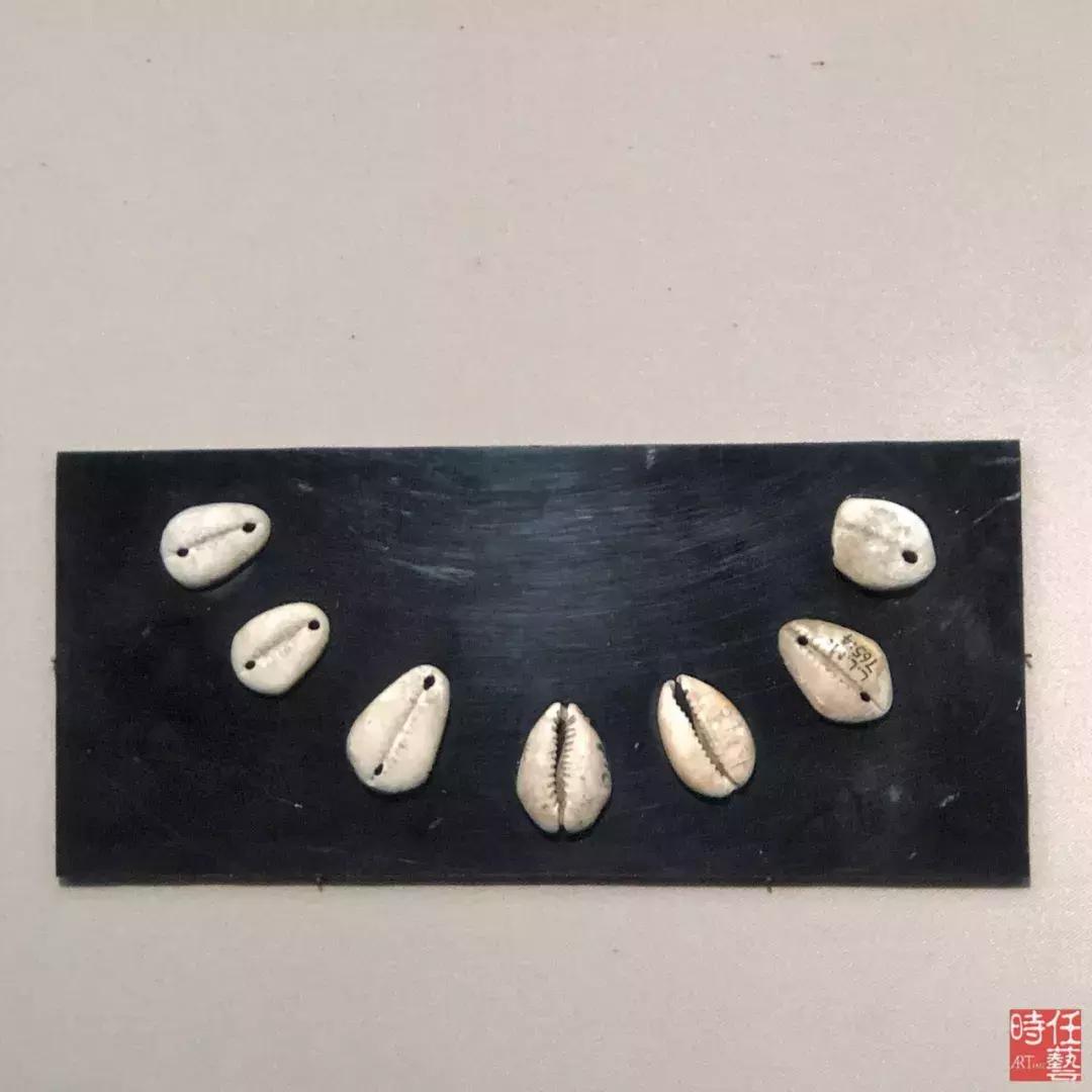 博物馆的主题展览,被名字耽误的博物馆