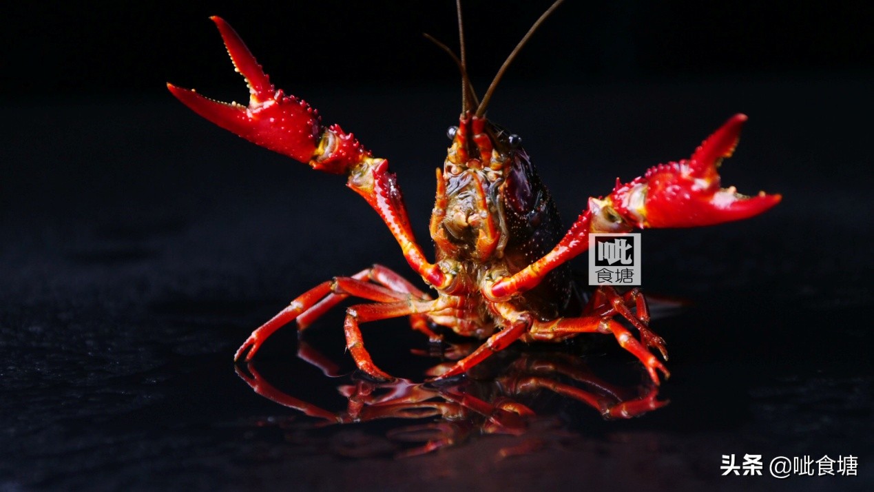 自家秘制麻辣鲜香小龙虾还可以吧,怎么做低成本麻辣小龙虾