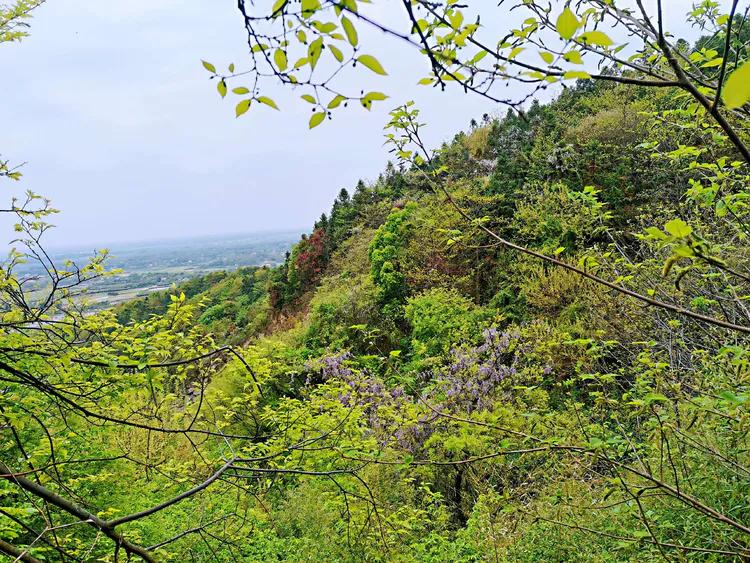 华容山水苑别墅100万,华容秀丽山水风景区