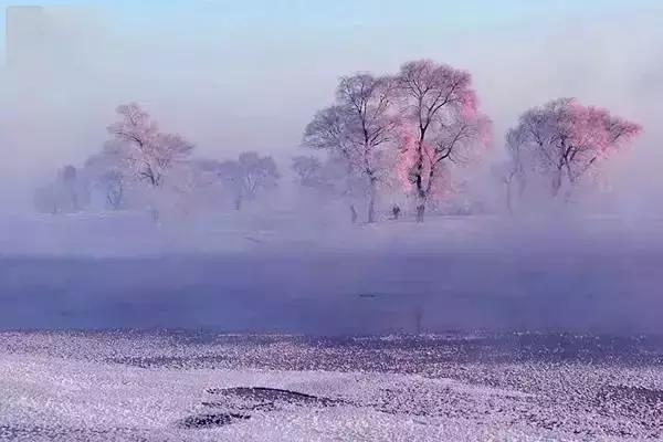 雾凇之美宛若仙境,连云港花果山雾凇美得像仙境
