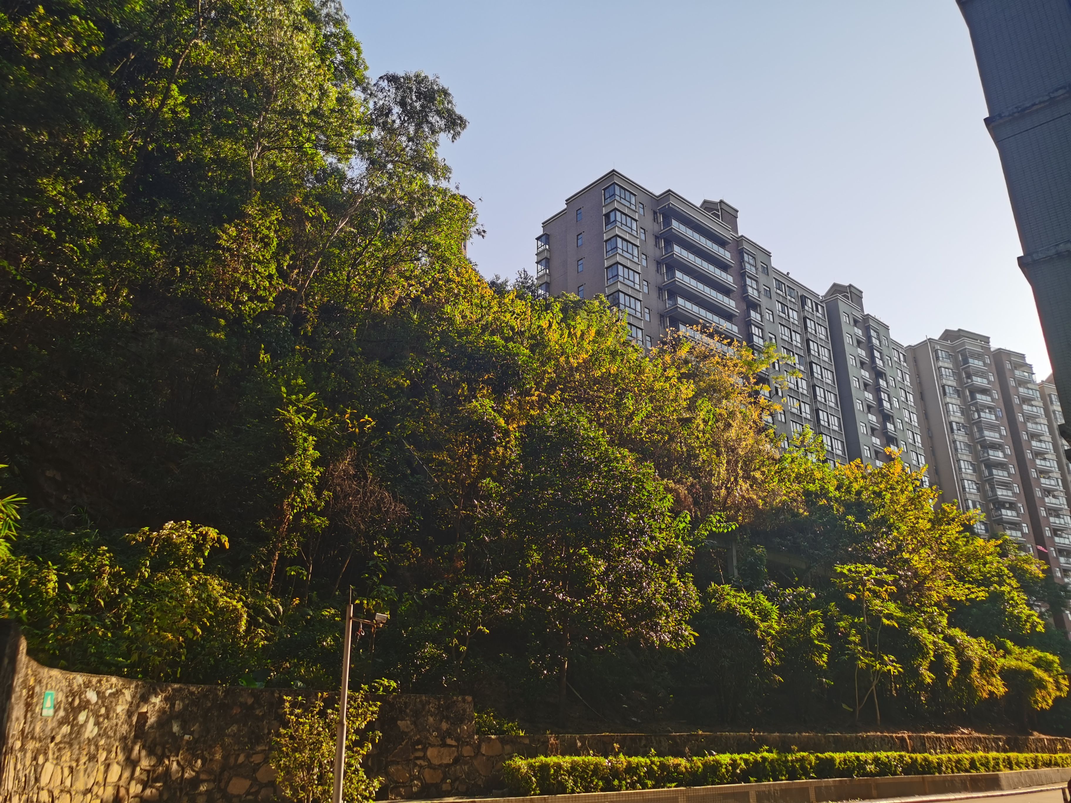 华为nova65g与荣耀v305g,华为nova65g版对比荣耀30