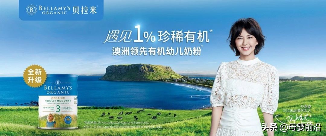 贝拉米生存现状,贝拉米现状