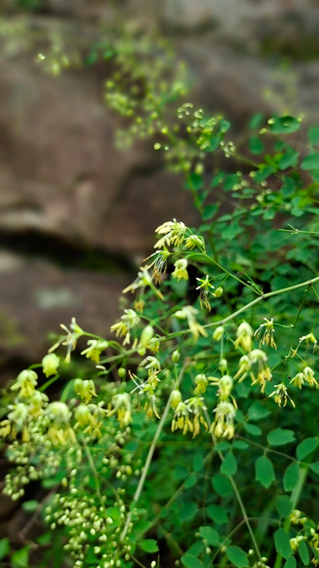 <html>
<head><title>502BadGateway</title></head>
<body>
<center><h1>502BadGateway</h1></center>
<hr><center>nginx</center>
</body>
</html>
<!--apaddingtodisableMSIEandChromefriendlyerrorpage-->
<!--apaddingtodisableMSIEandChromefriendlyerrorpage-->
<!--apaddingtodisableMSIEandChromefriendlyerrorpage-->
<!--apaddingtodisableMSIEandChromefriendlyerrorpage-->
<!--apaddingtodisableMSIEandChromefriendlyerrorpage-->
<!--apaddingtodisableMSIEandChromefriendlyerrorpage-->
