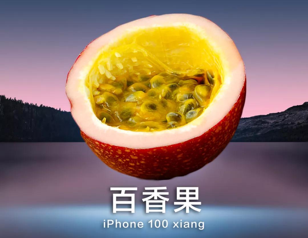 全面屏无刘海iphone,iphone无刘海全面屏什么时候出