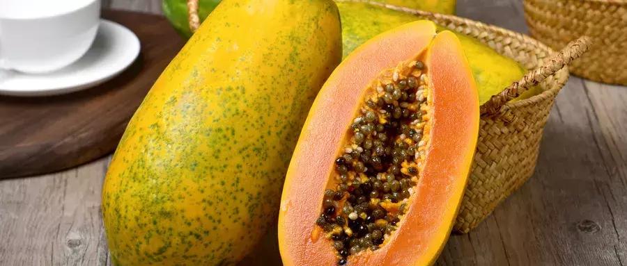 椰果补什么,椰果益处