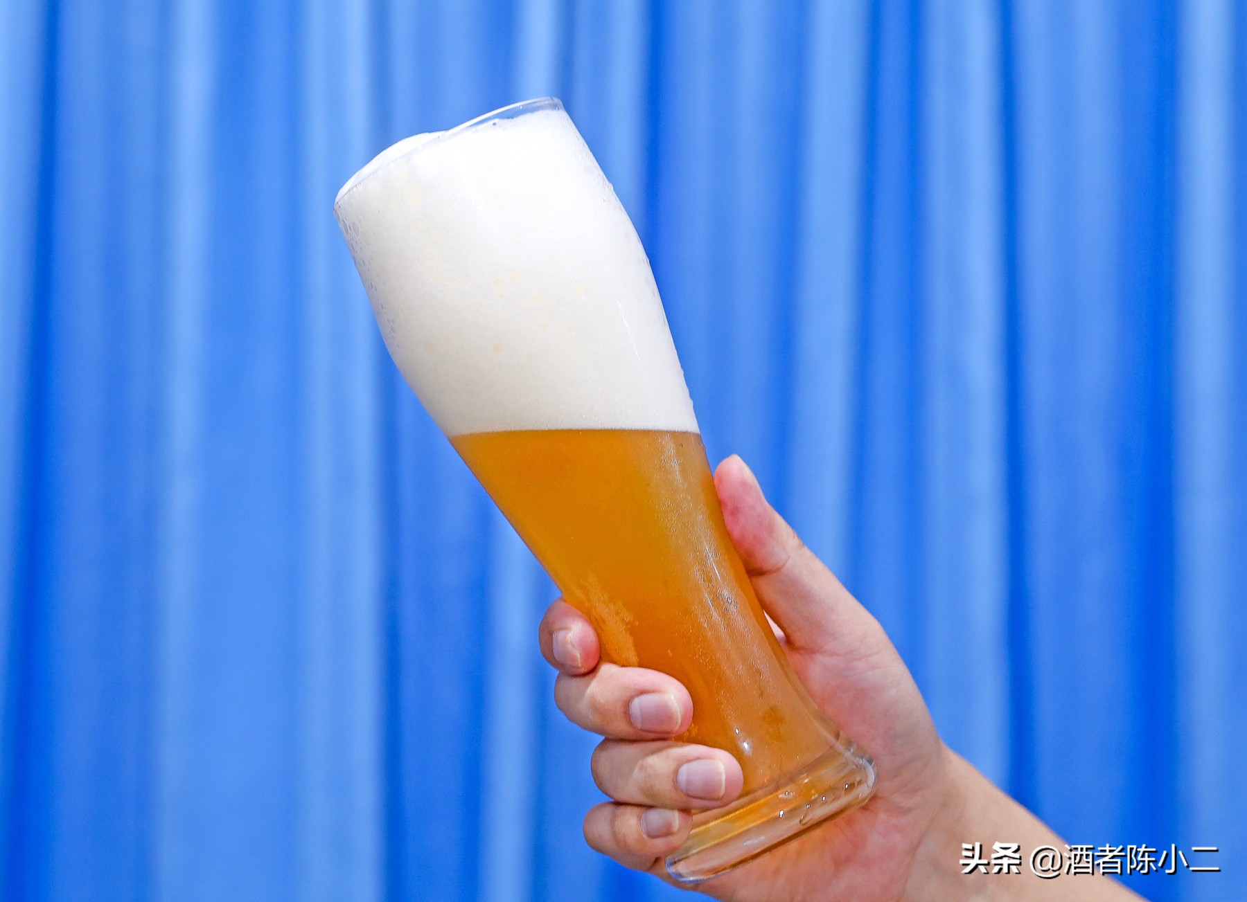 德式啤酒怎么选择好的 (德啤十大高端啤酒排行榜)