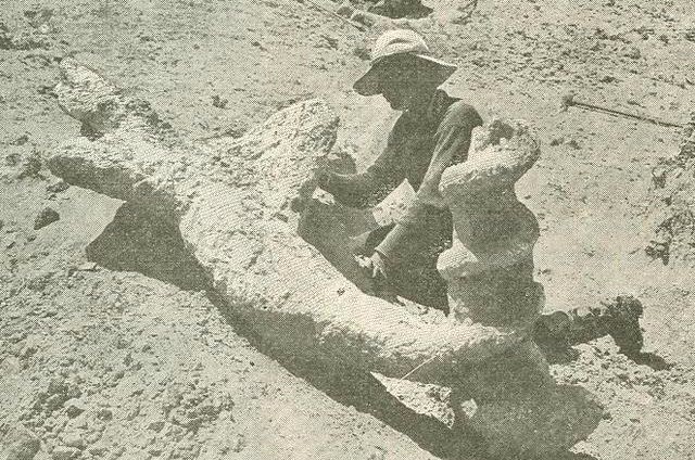 这种两米高的“魔鬼开瓶器”，是谁在几十万年前造出来的？