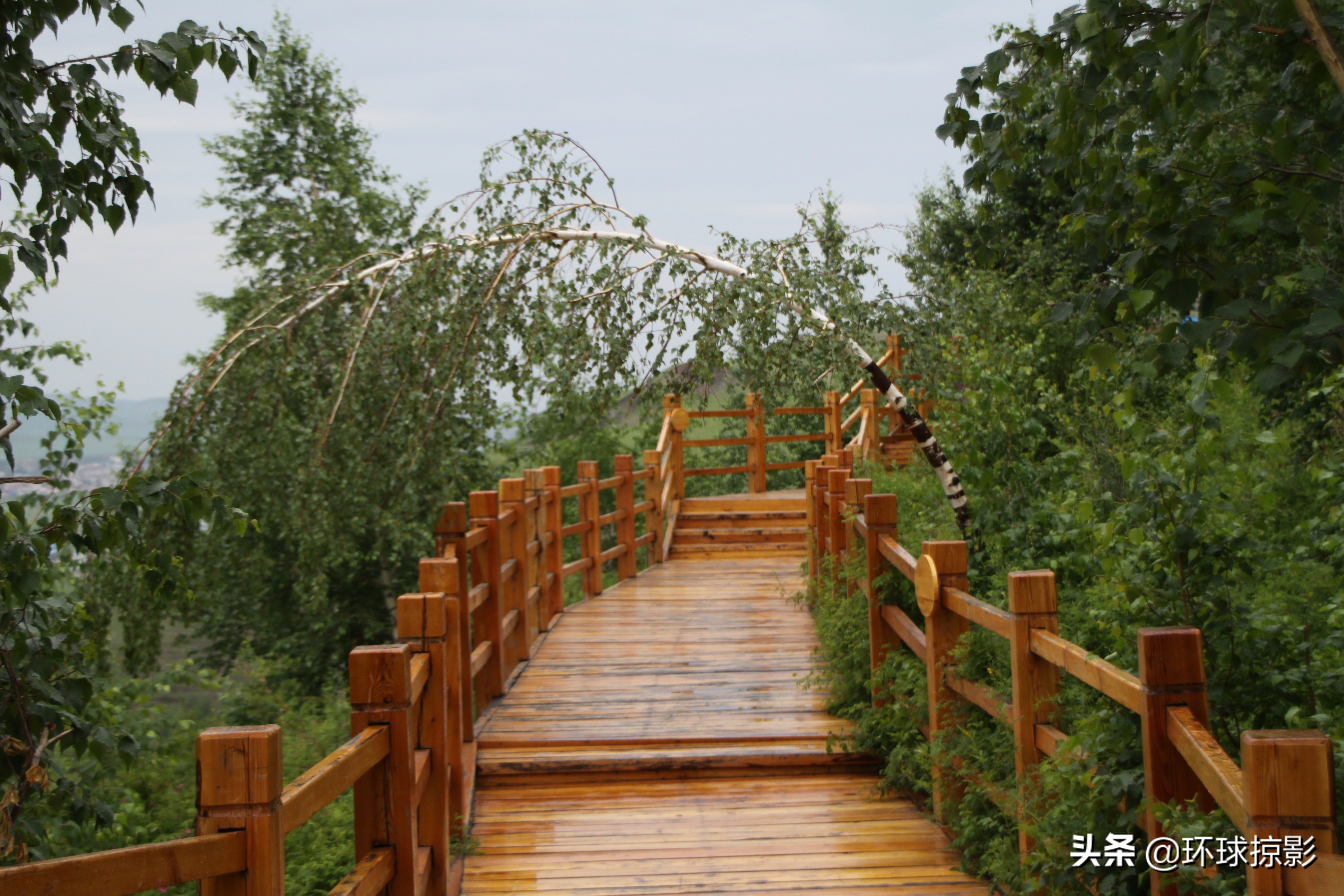 8月份漠河,呼伦贝尔8月中旬