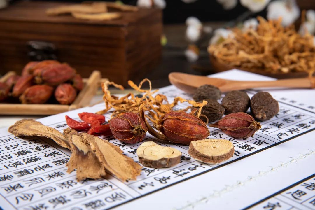 吉林省根网科技服务专家团,吉林根网