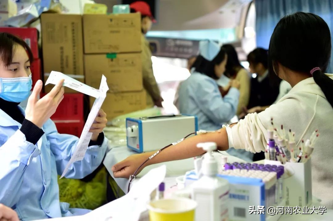 大爱丨228150毫升！农大人的热血让这个冬日温暖如春