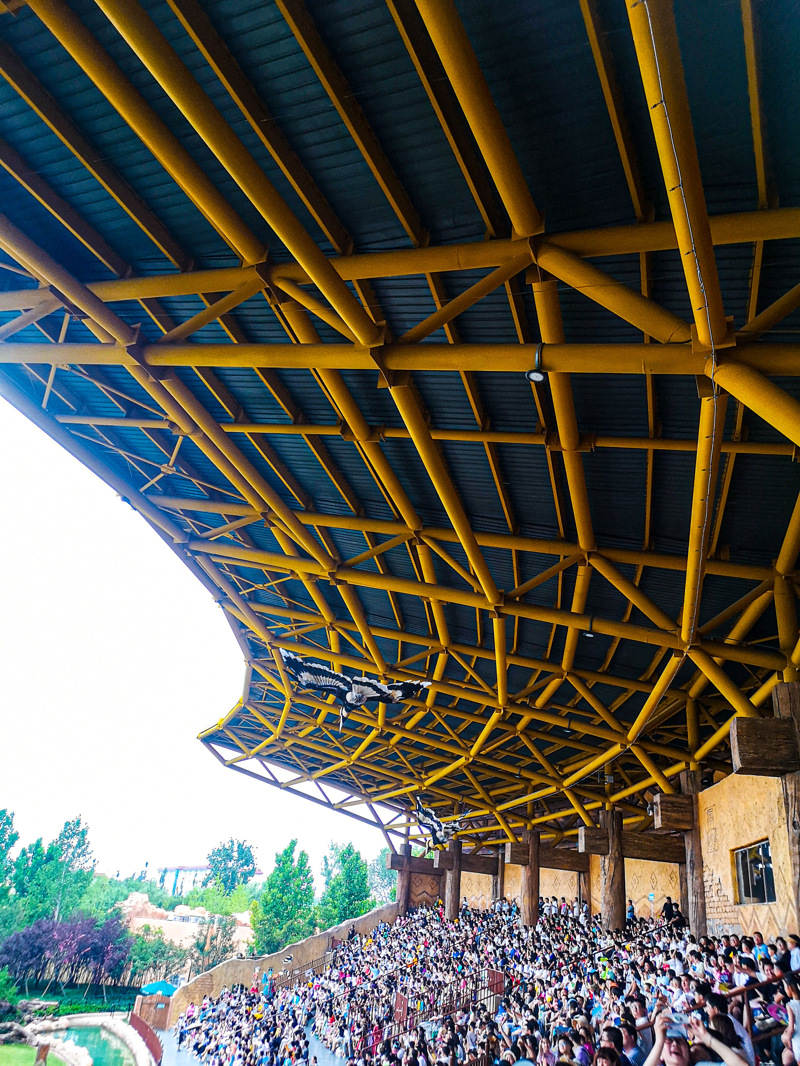 暑期郑州银基动物王国旅游,郑州市区怎么去银基动物王国