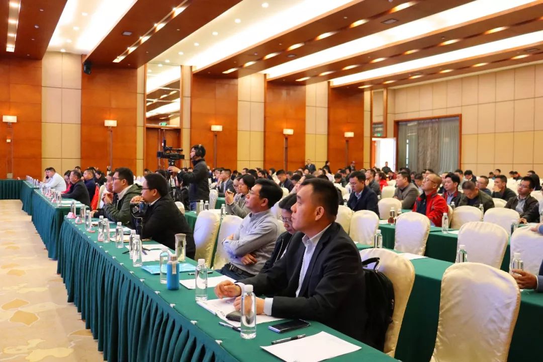 益生菌酶制剂,益生菌酶制剂应用