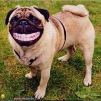 微信的昵称会暴露出你的痕迹特征,微信昵称暴露你的一切