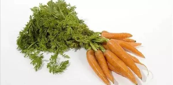 怎么喂羊才能高产,苜蓿干草喂羊的效益