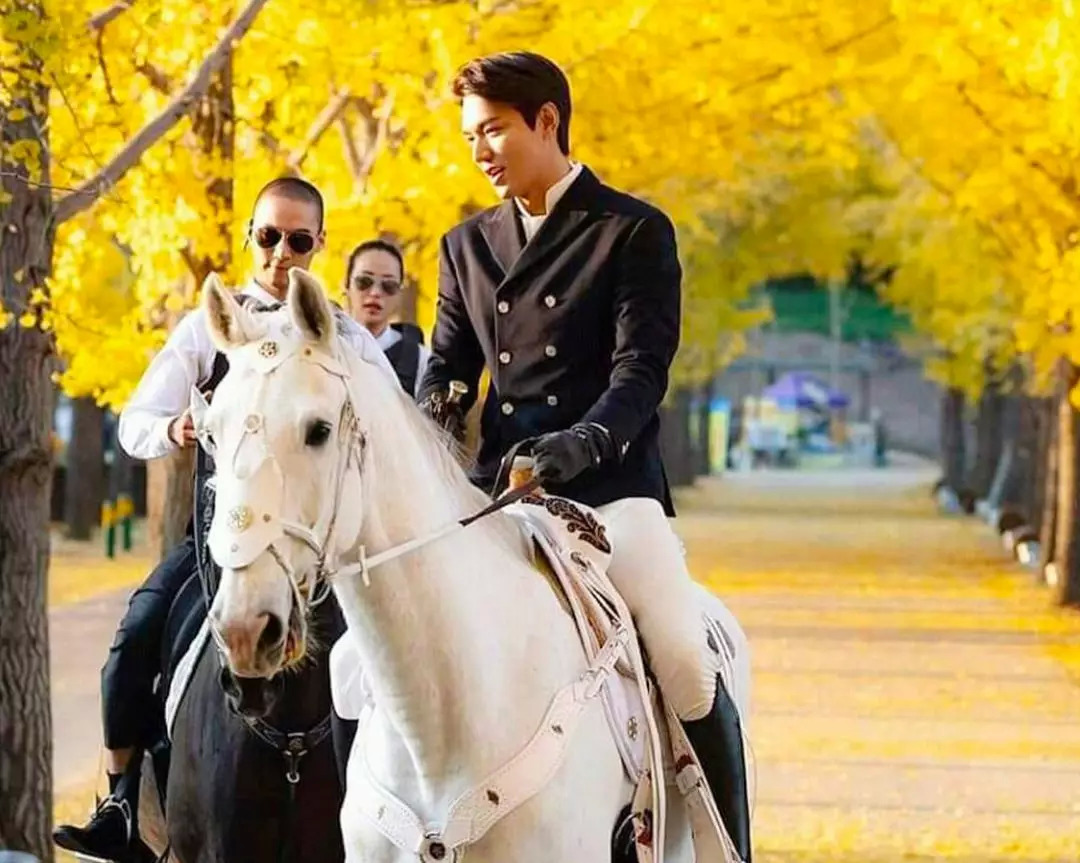 他要回归啦！韩剧扛把子、长腿欧巴始祖，还公开承认看过小电影