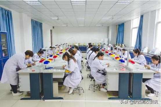 西安海棠职业学院怎样报名,西安海棠职业学院怎么报名