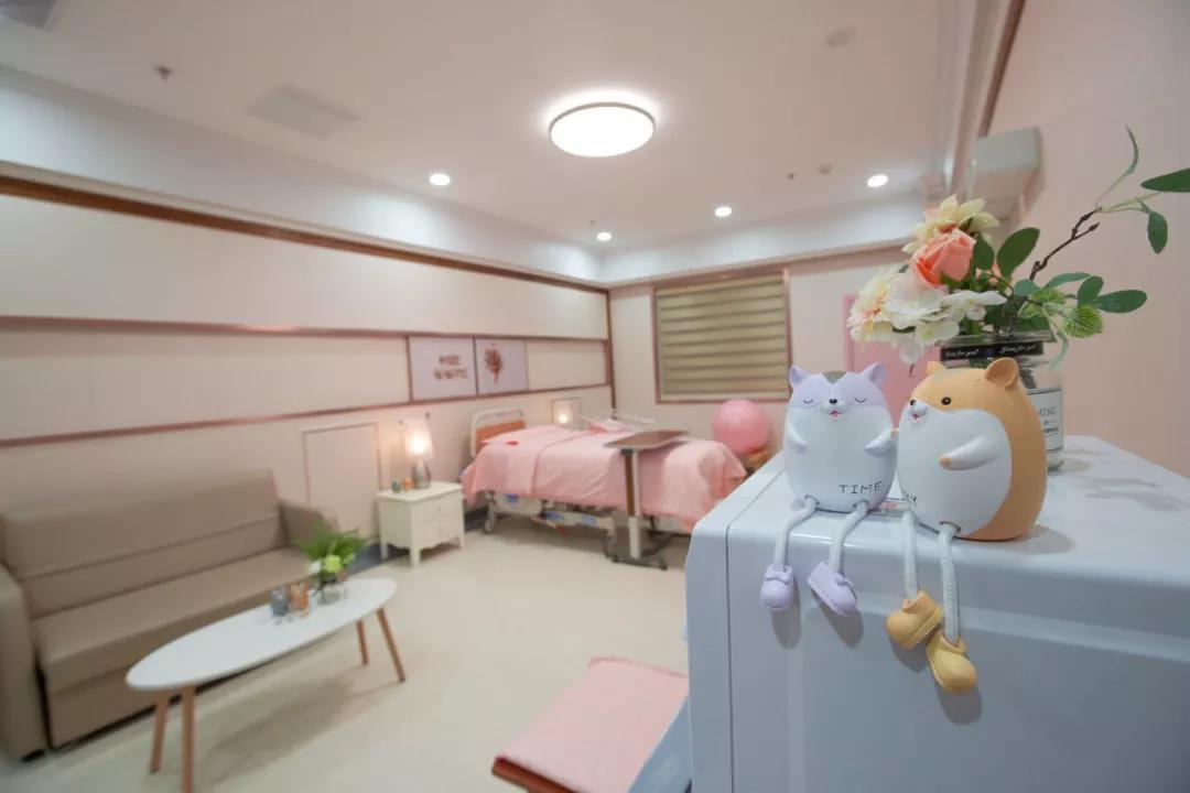 家庭式产房整装,家庭式一体化产房