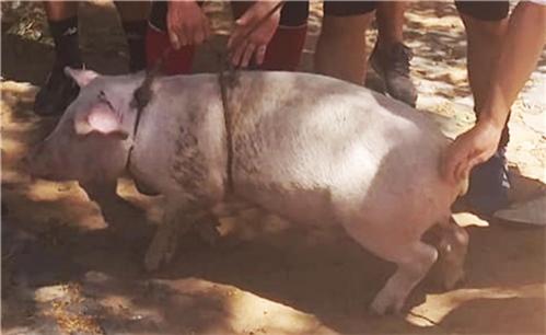 小罗巅峰时期成长为足球精灵,小罗进监狱落魄的时候