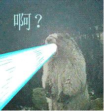 认识鲨鱼斑马恐龙等10种动物,六角恐龙海底生物