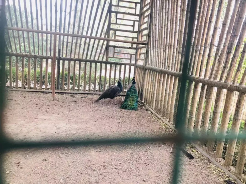 北京京郊神秘岛屿,北京神秘小岛