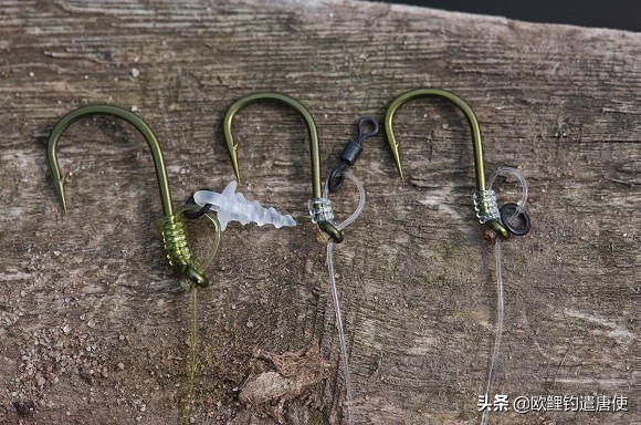 欧鲤钓钓组篇,欧鲤钓组和飞德钓组