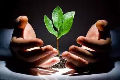 八岁女孩眼睛被打出血后续,8岁女孩被打事件完整版后续