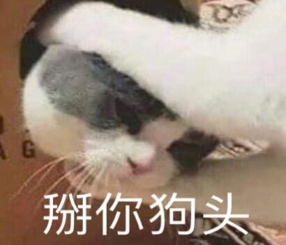 沙雕群聊昵称5人,沙雕群聊昵称富婆