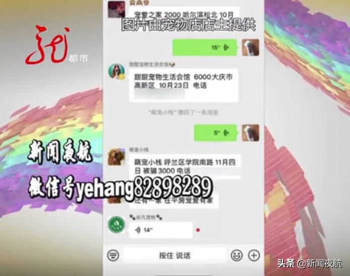 这俩人带宠物狗到处打疫苗，打完疫苗狗就死亡！咋回事？哈尔滨多家宠物店都见过他们