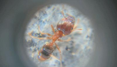 儿童最潮玩具,适合孩子玩的爆款玩具