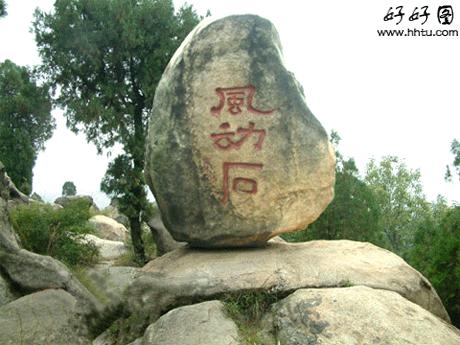 虫草山水画,四季花草山水画作品欣赏