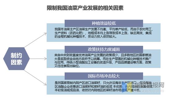 油菜花商业价值,油菜花可以发展哪些产业