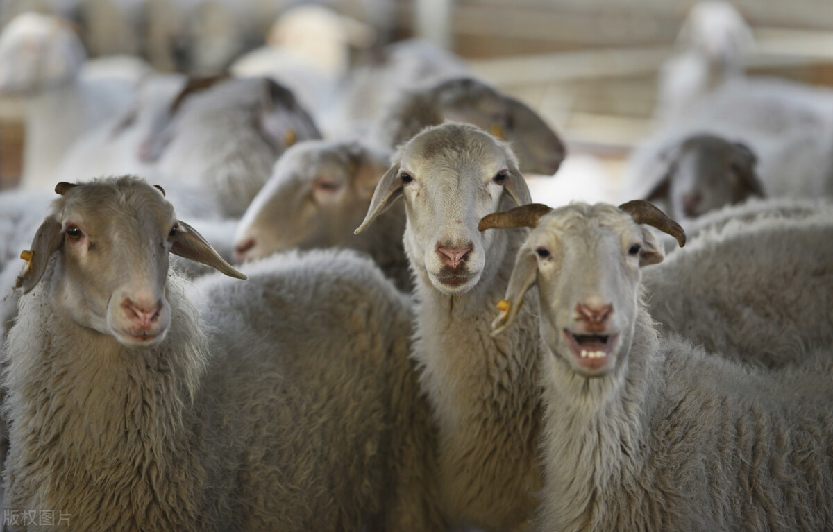 曲靖创业商机,云南曲靖100个项目