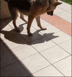 “如果这群女混混*攻围**我,我会舌战群儒!”你会怎样脱困?